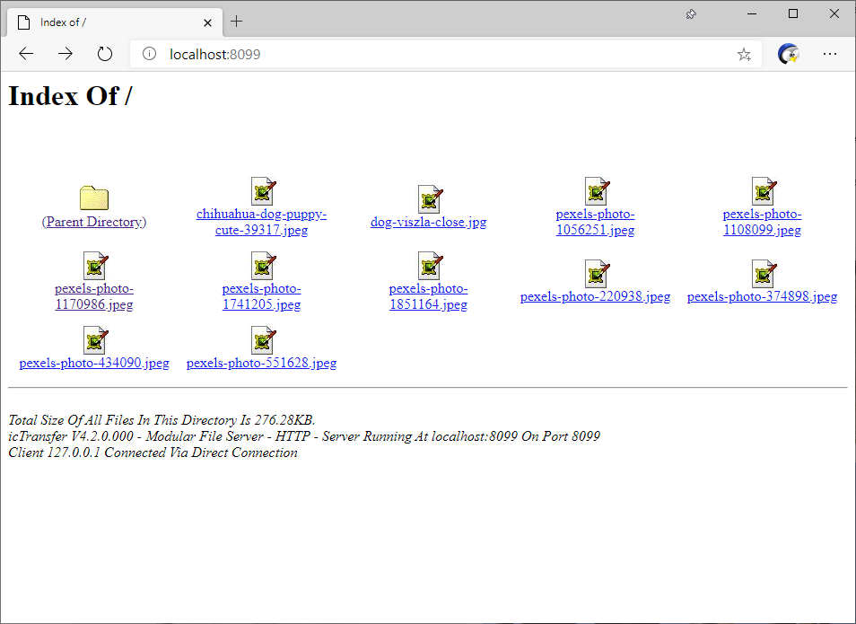 A directory listing of cat and dog pictures.